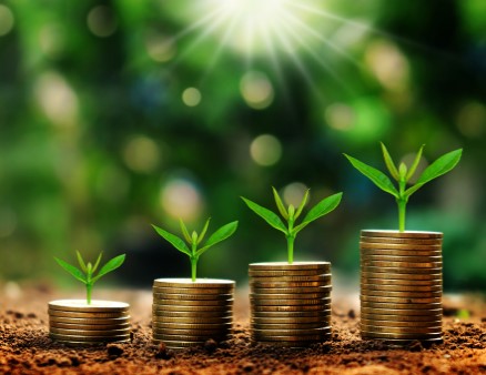 Four coin stacks with seedlings growing from the tops